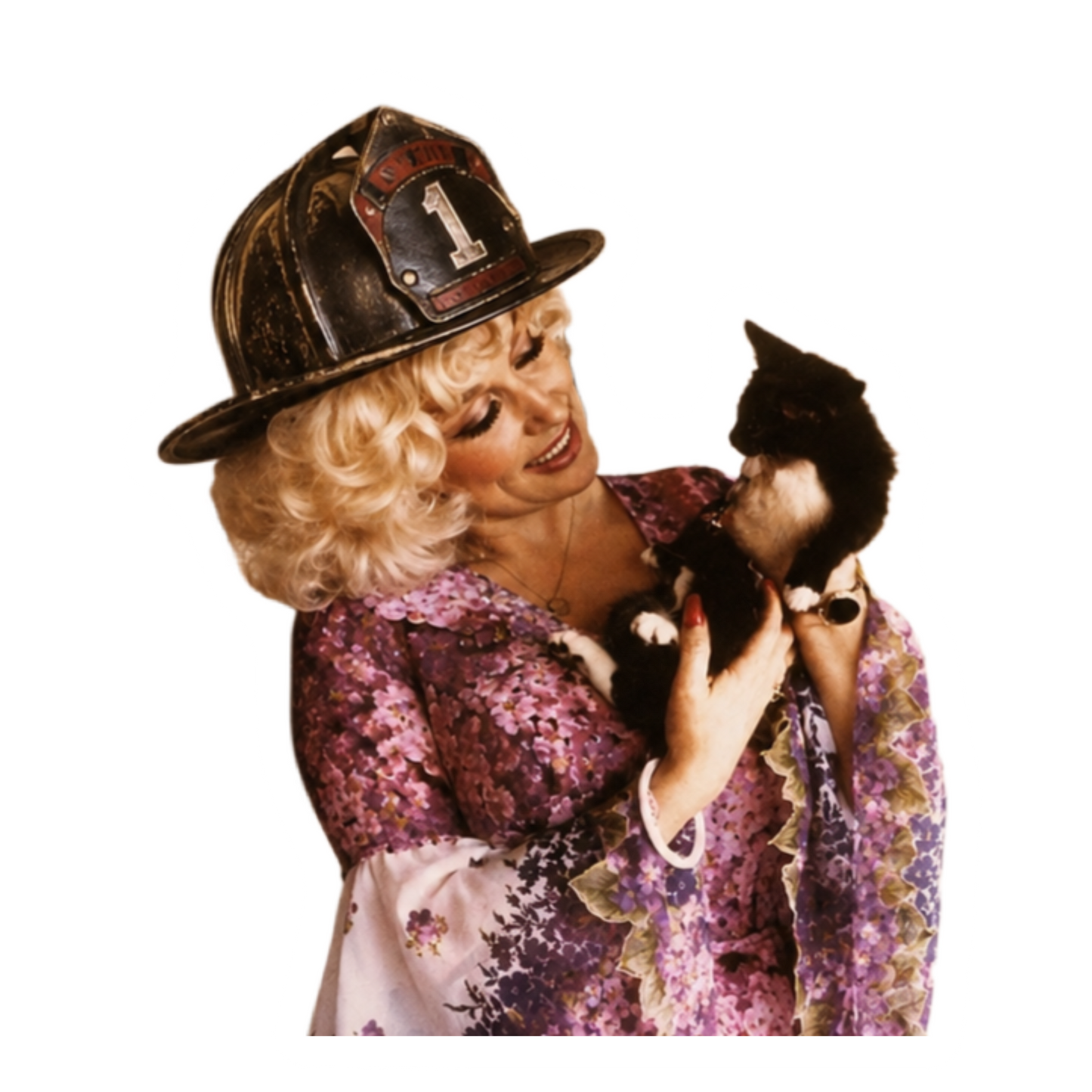 Dolly Kitty