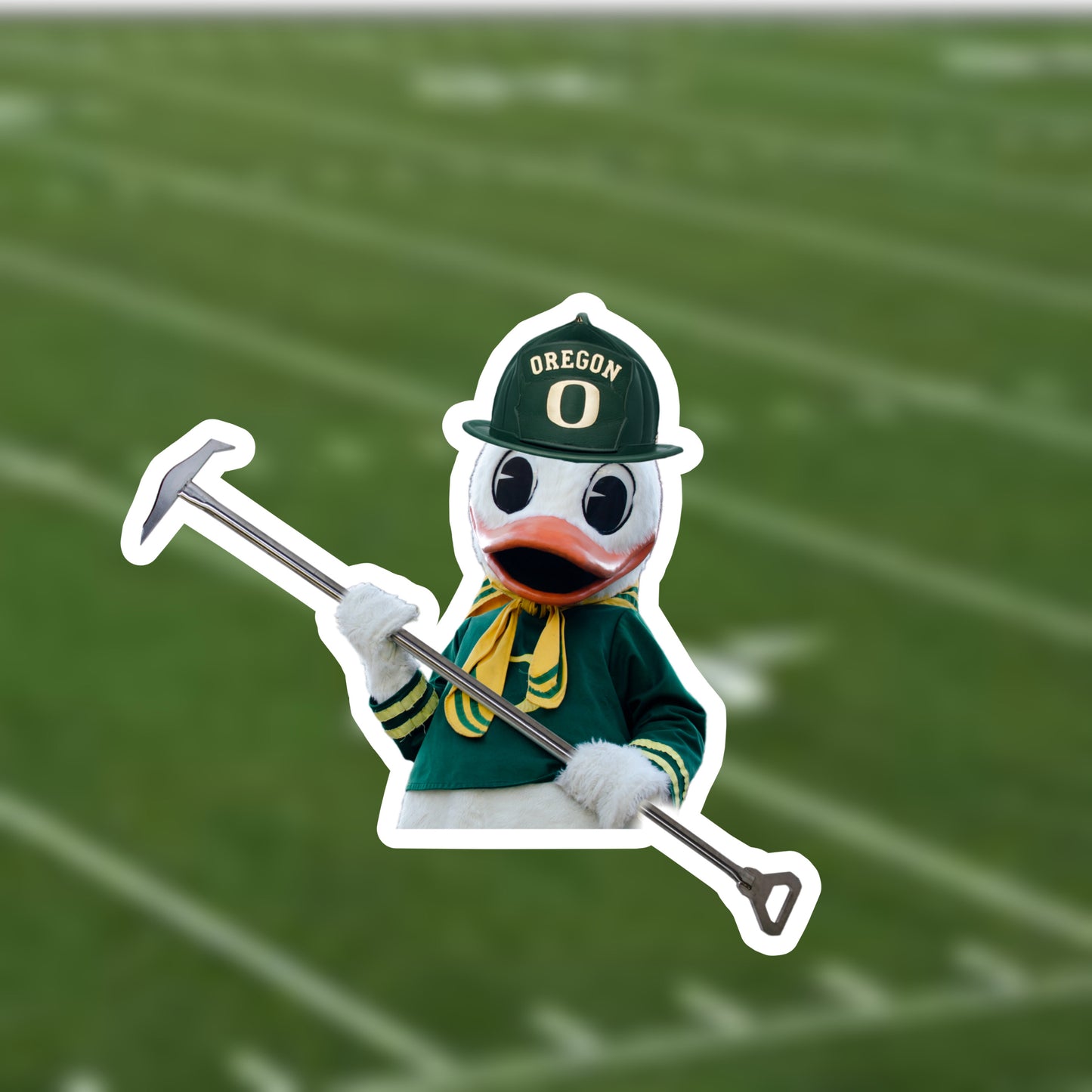 The Duck