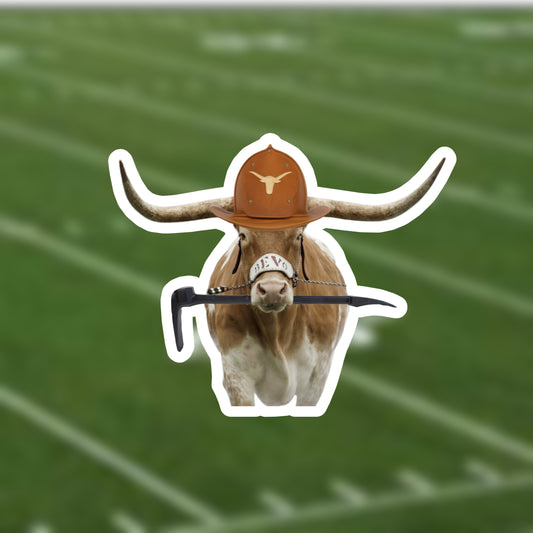 Bevo