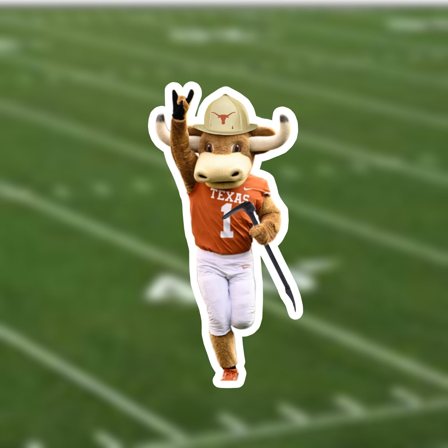 Hook’em