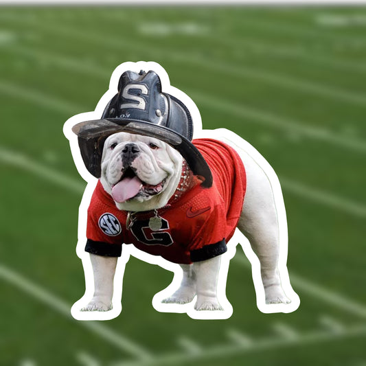 DAWG